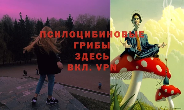 герыч Горняк