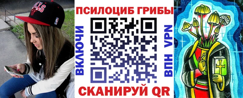 omg как войти Старый Оскол Галлюциногенные грибы Cubensis