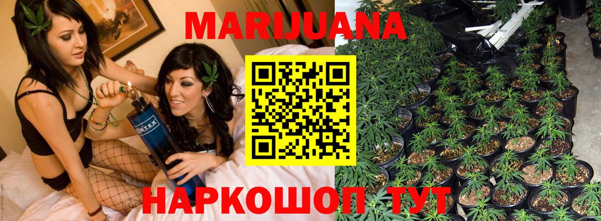 Конопля Bruce Banner Старый Оскол